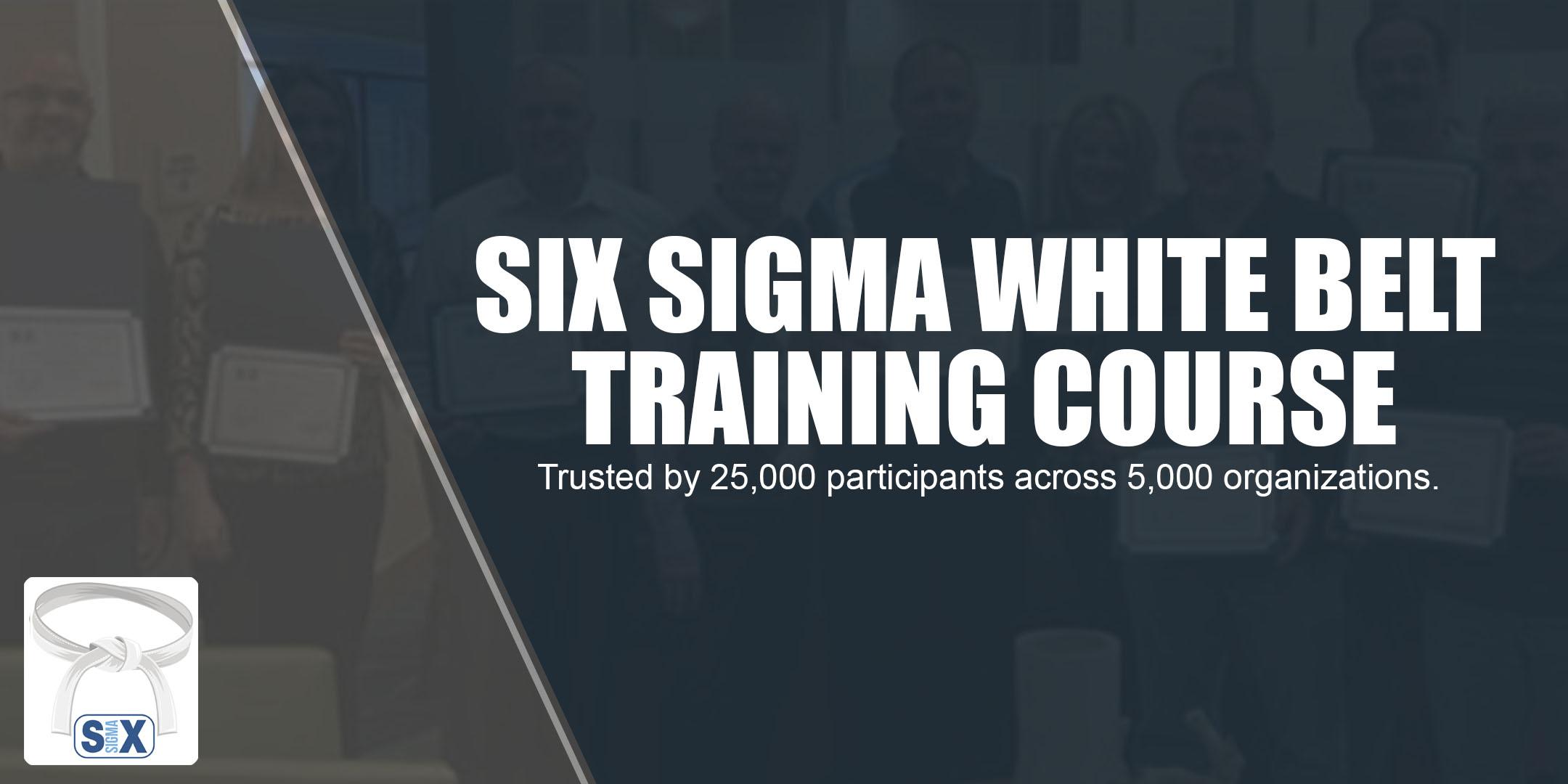 Six Sigma White Belt Training Course